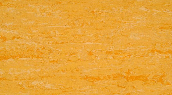 Линолеум Linodur Sport 1074 Straw Yellow фото 1 | FLOORDEALER